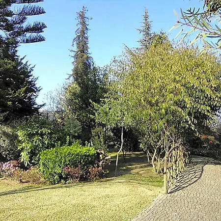 Garden Braga